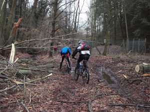 Waldtour 028